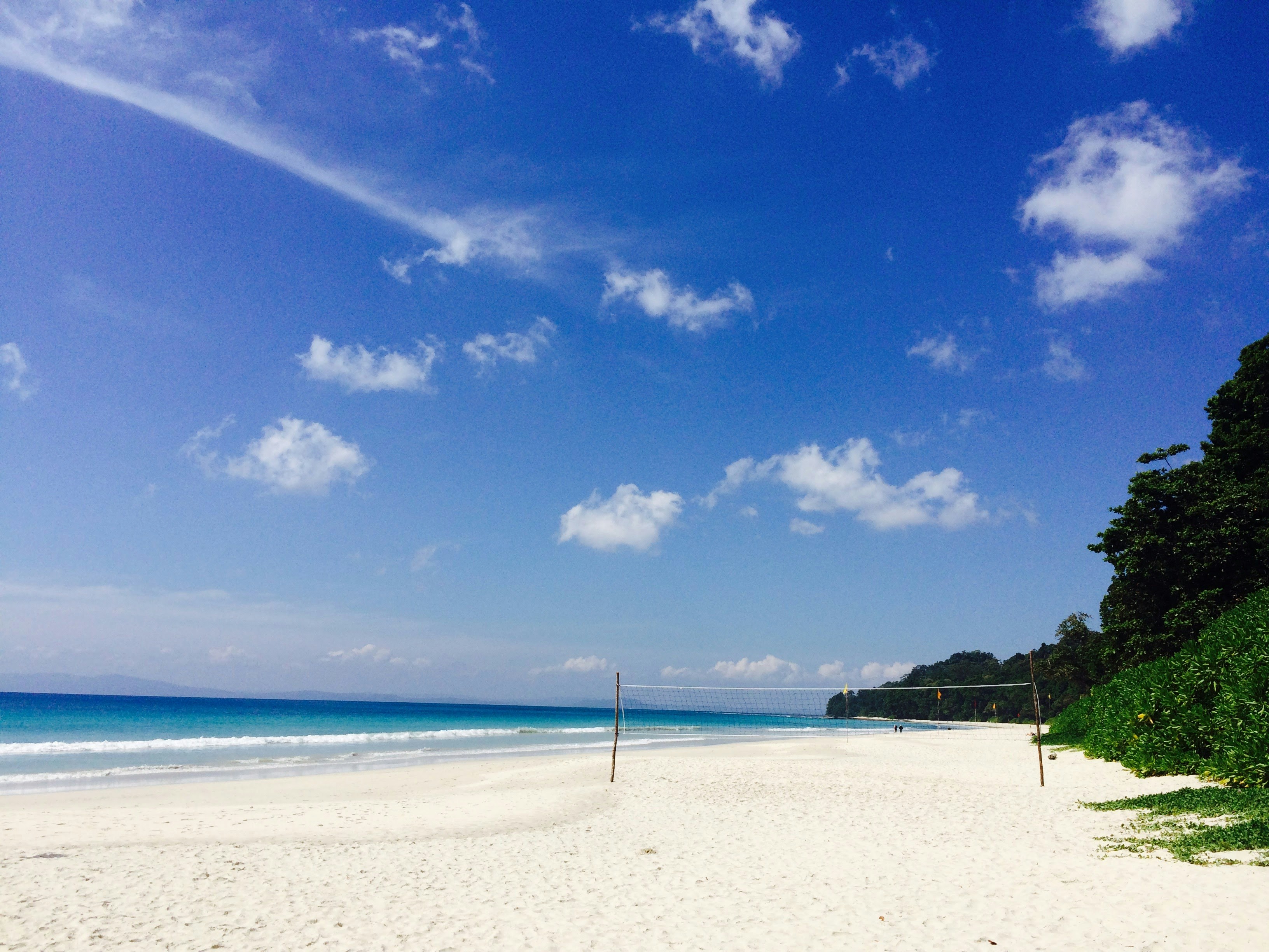 green trees on white sand beach under blue sky during daytime