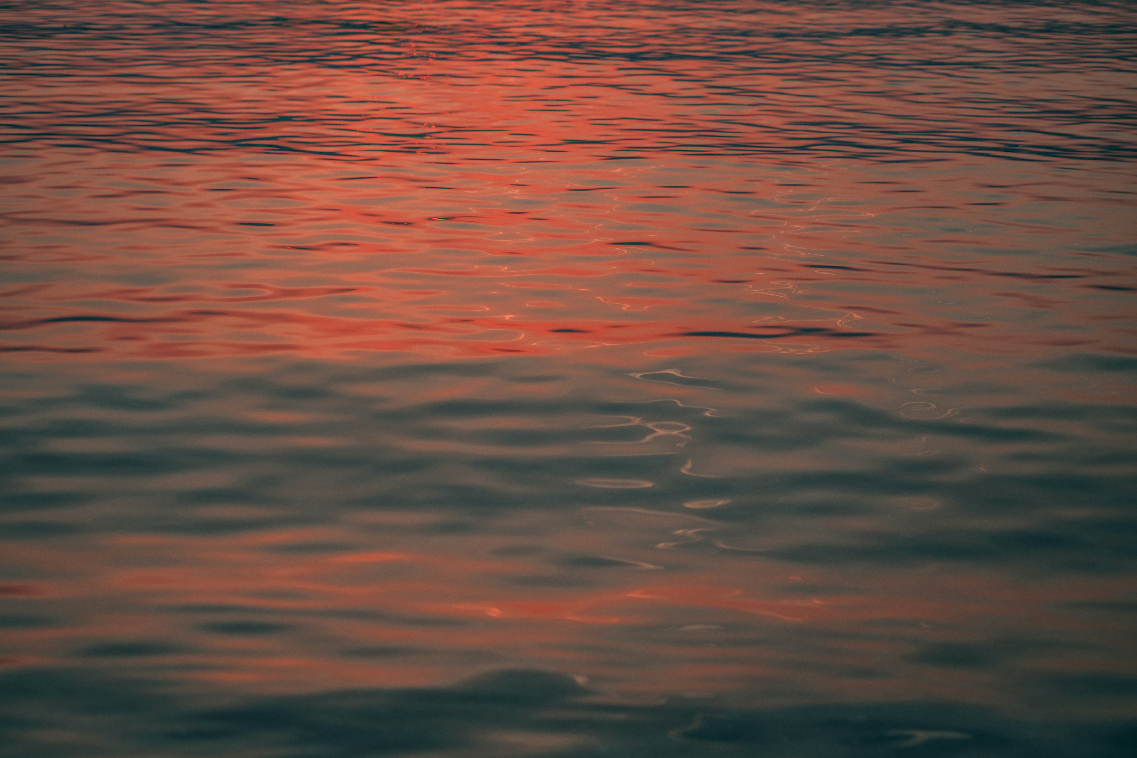 Photo by synesthe2ia