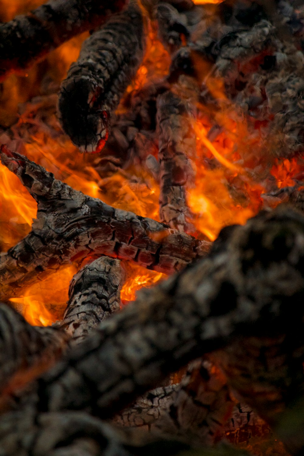 fire in close up photography