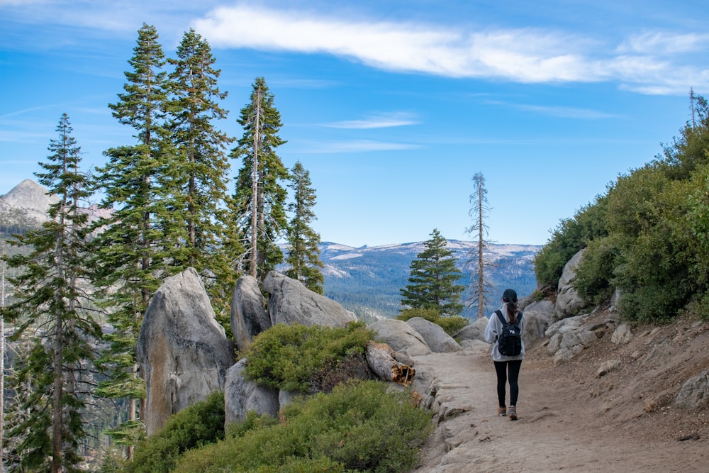 2 person standing on rocky hill near green trees under blue sky during daytime