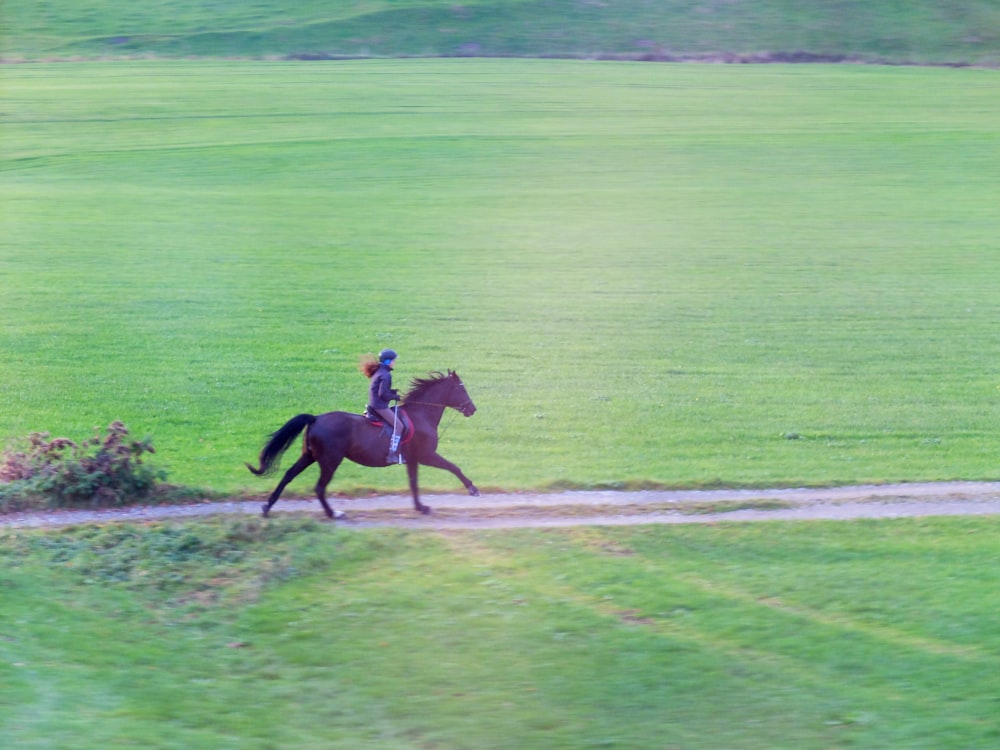 2 caballos marrones corriendo en el campo de hierba verde durante el día