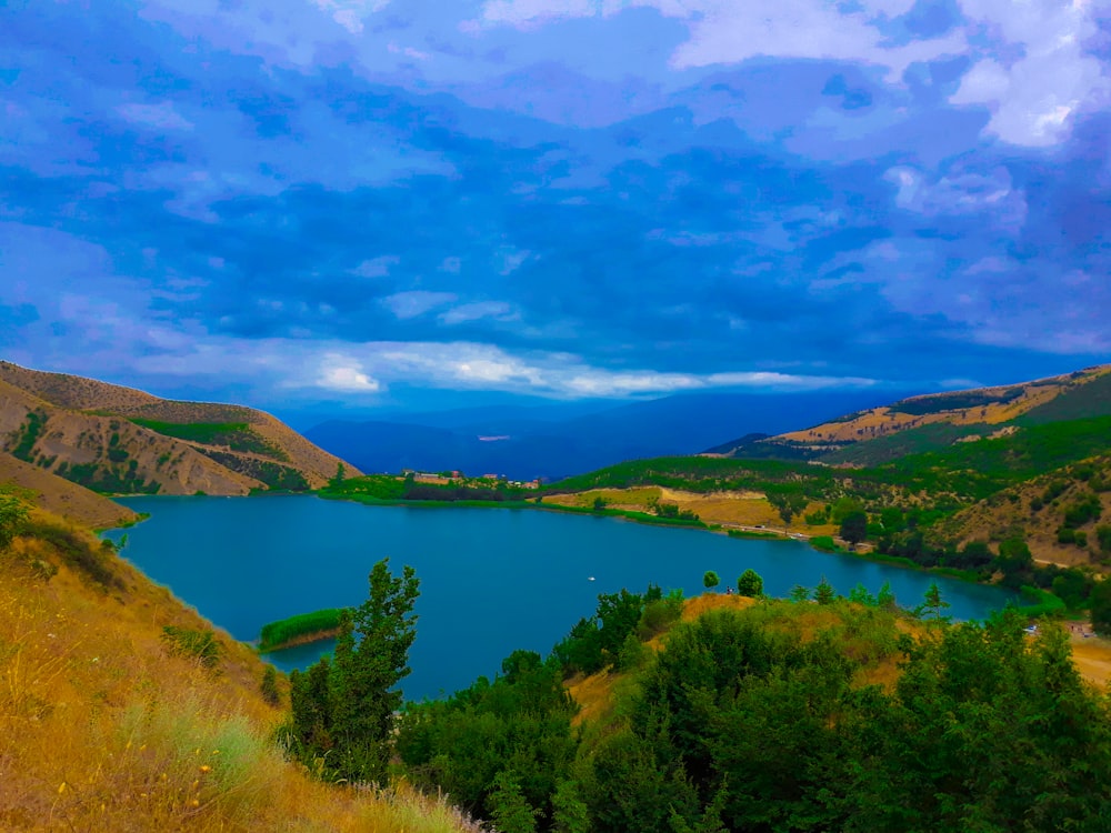 green trees near body of water under cloudy sky during daytime