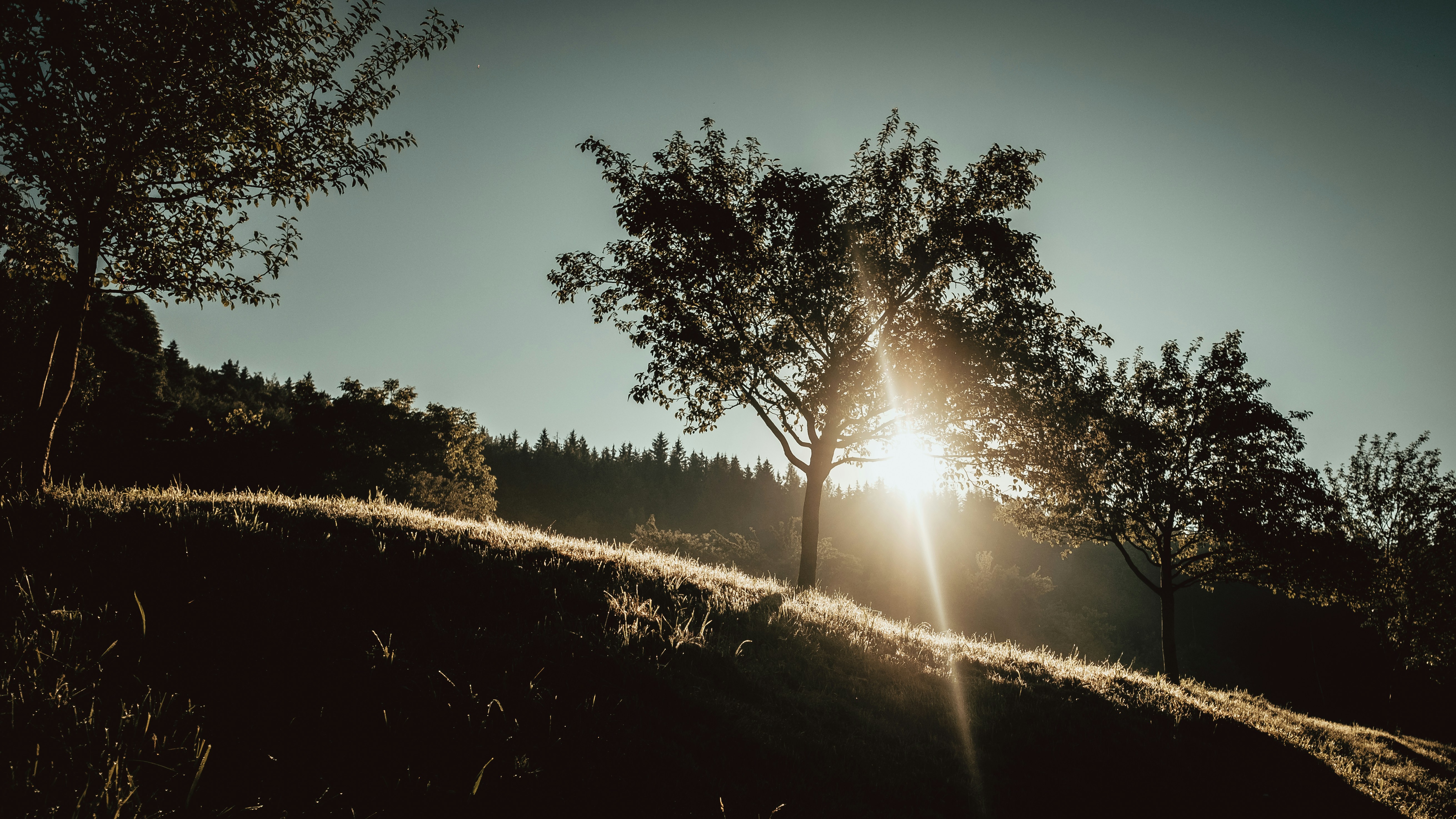 green grass field during daytime