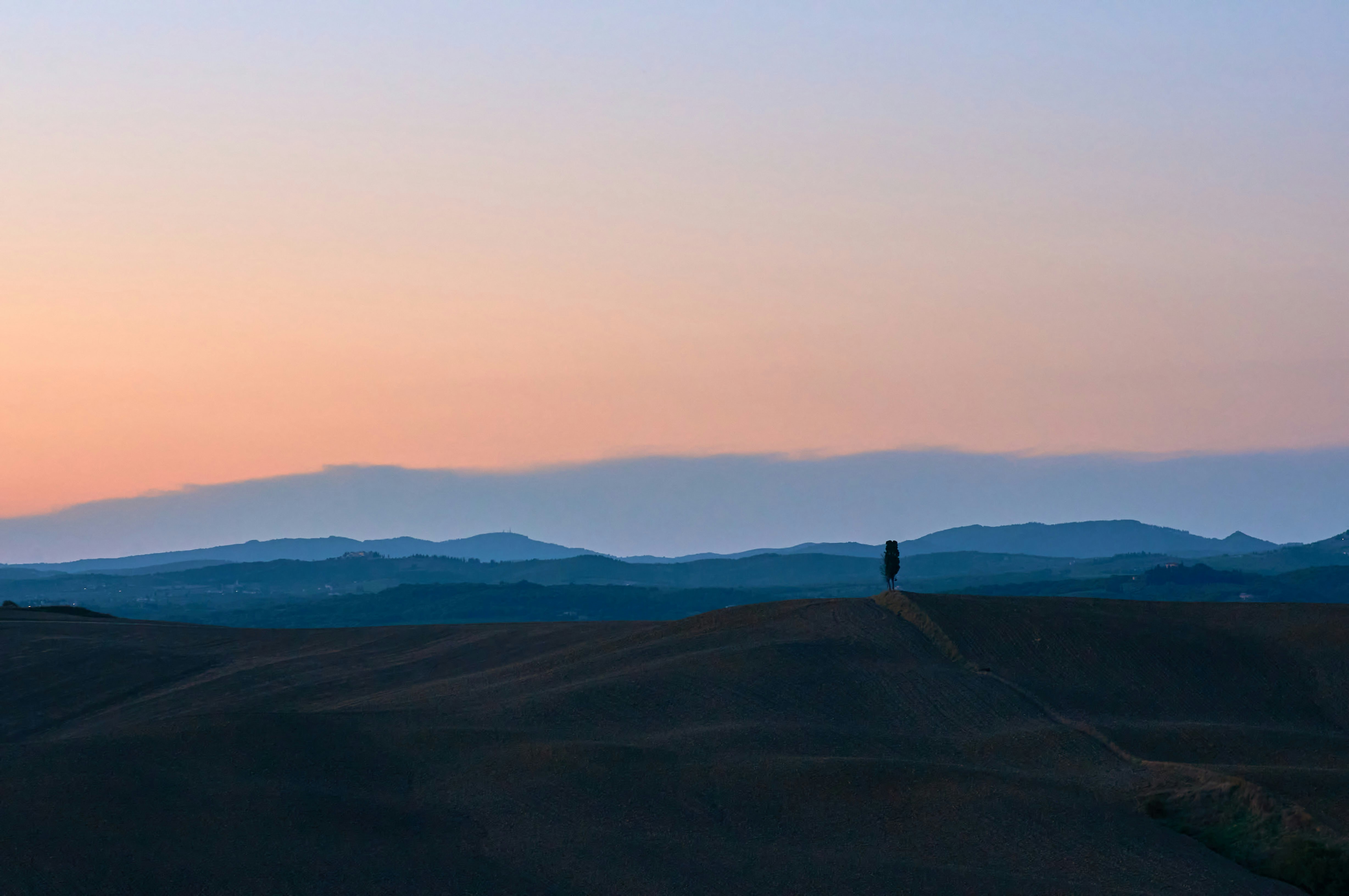 Photo by wolfgang_hasselmann