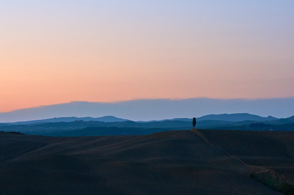 person standing on the road during sunset