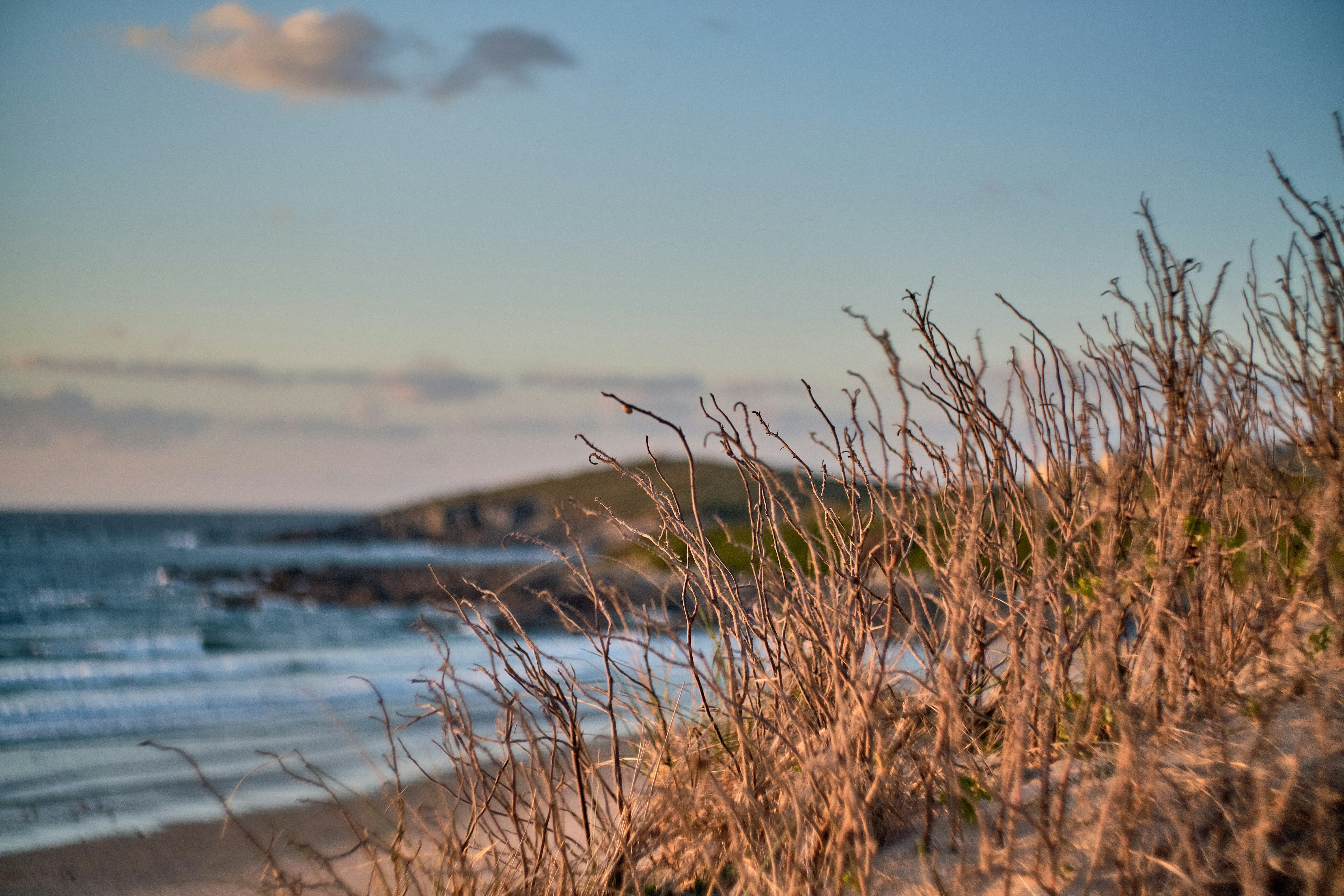 Photo by mentalmoorse