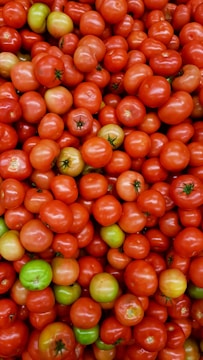 red and green tomato fruit