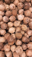A pile of coconuts with rough, textured husks closely packed together. The coconuts vary in size and shade, creating a natural, earthy appearance.