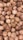 A pile of coconuts with rough, textured husks closely packed together. The coconuts vary in size and shade, creating a natural, earthy appearance.