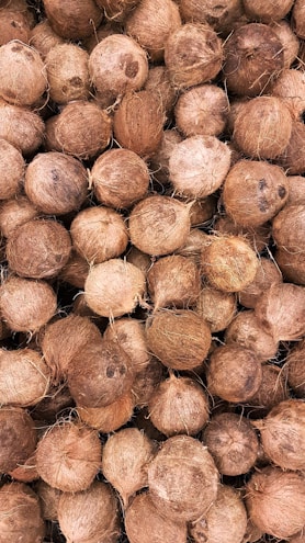 A pile of coconuts with rough, textured husks closely packed together. The coconuts vary in size and shade, creating a natural, earthy appearance.