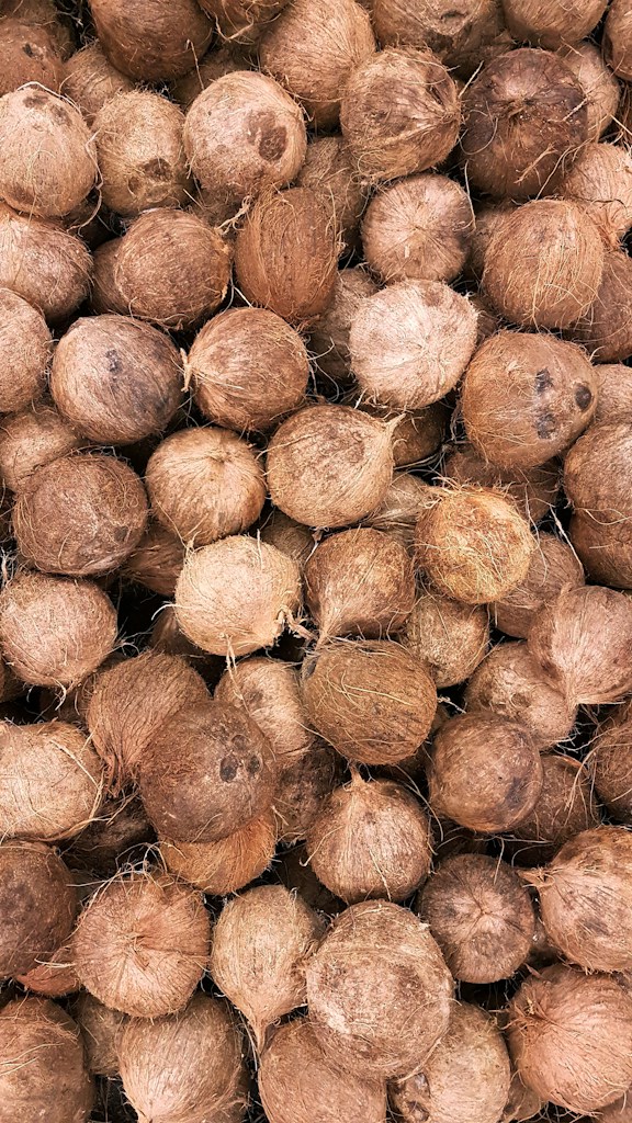 Natural Coco Fiber