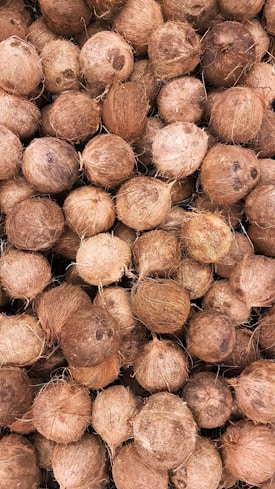 A pile of coconuts with rough, textured husks closely packed together. The coconuts vary in size and shade, creating a natural, earthy appearance.