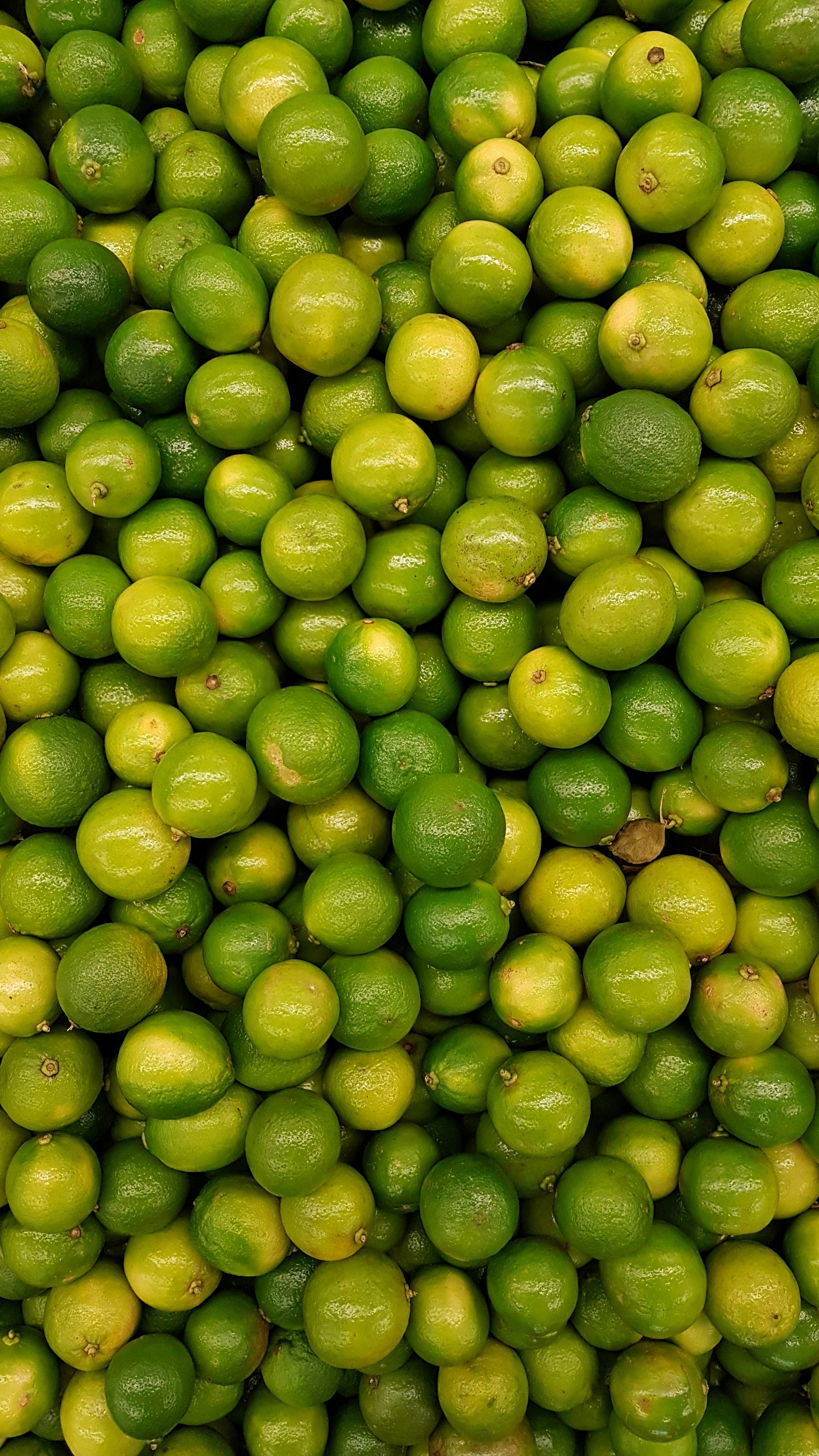 green and yellow lime fruits photo Free Citrus fruit Image on Unsplash
