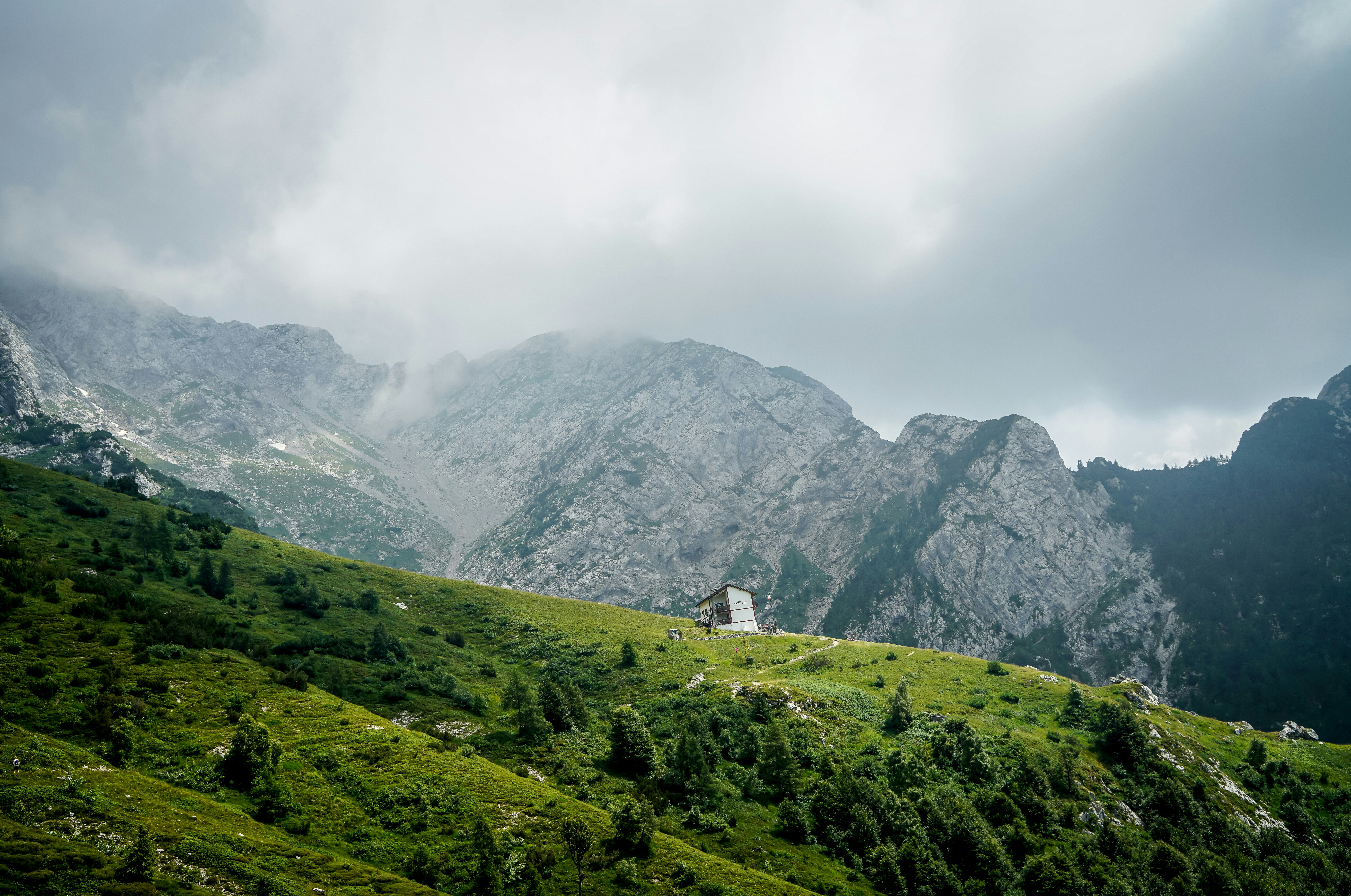 Photo by kaizenwebster