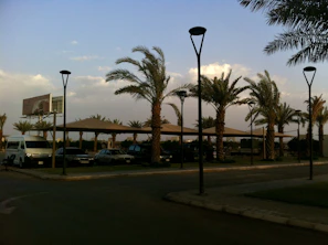 A cozy parking area outside Adiyotta with several cars parked comfortably under shade.