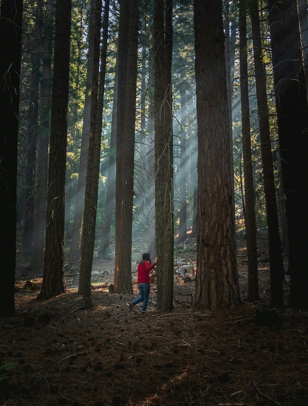person in red jacket standing in the woods during daytime