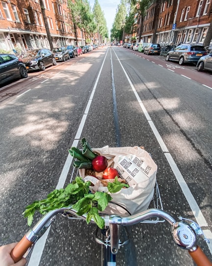 A bicycle is being ridden down a tree-lined urban street, filled with parked cars on either side. In the front basket of the bicycle, a reusable bag is filled with fresh produce including leafy greens, a zucchini, a red apple, and other fruits and vegetables.