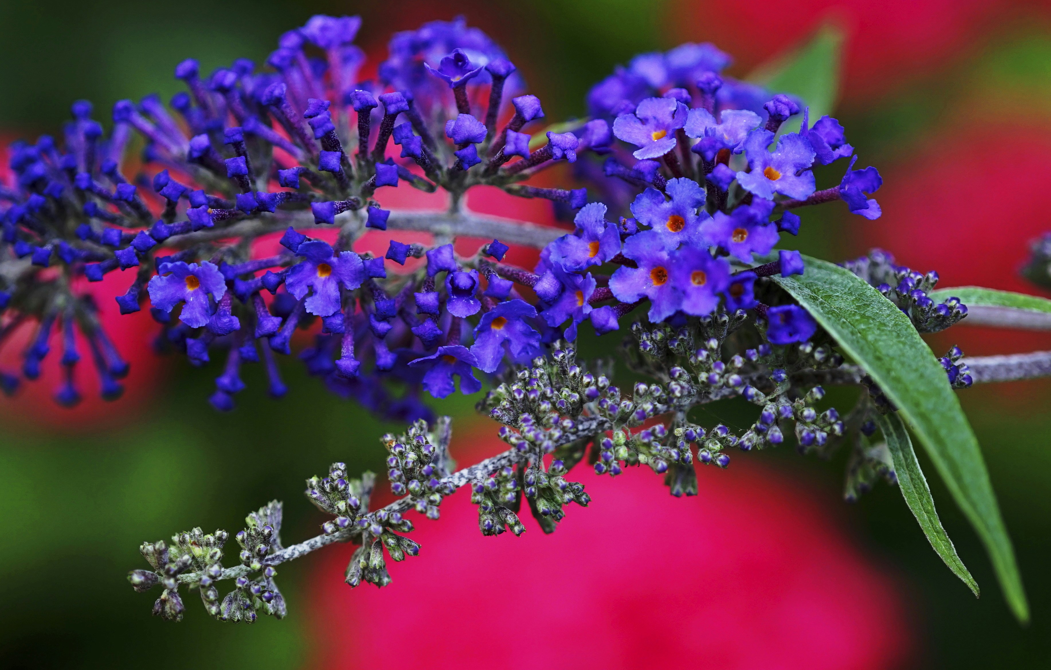 Photo by alpinstephane