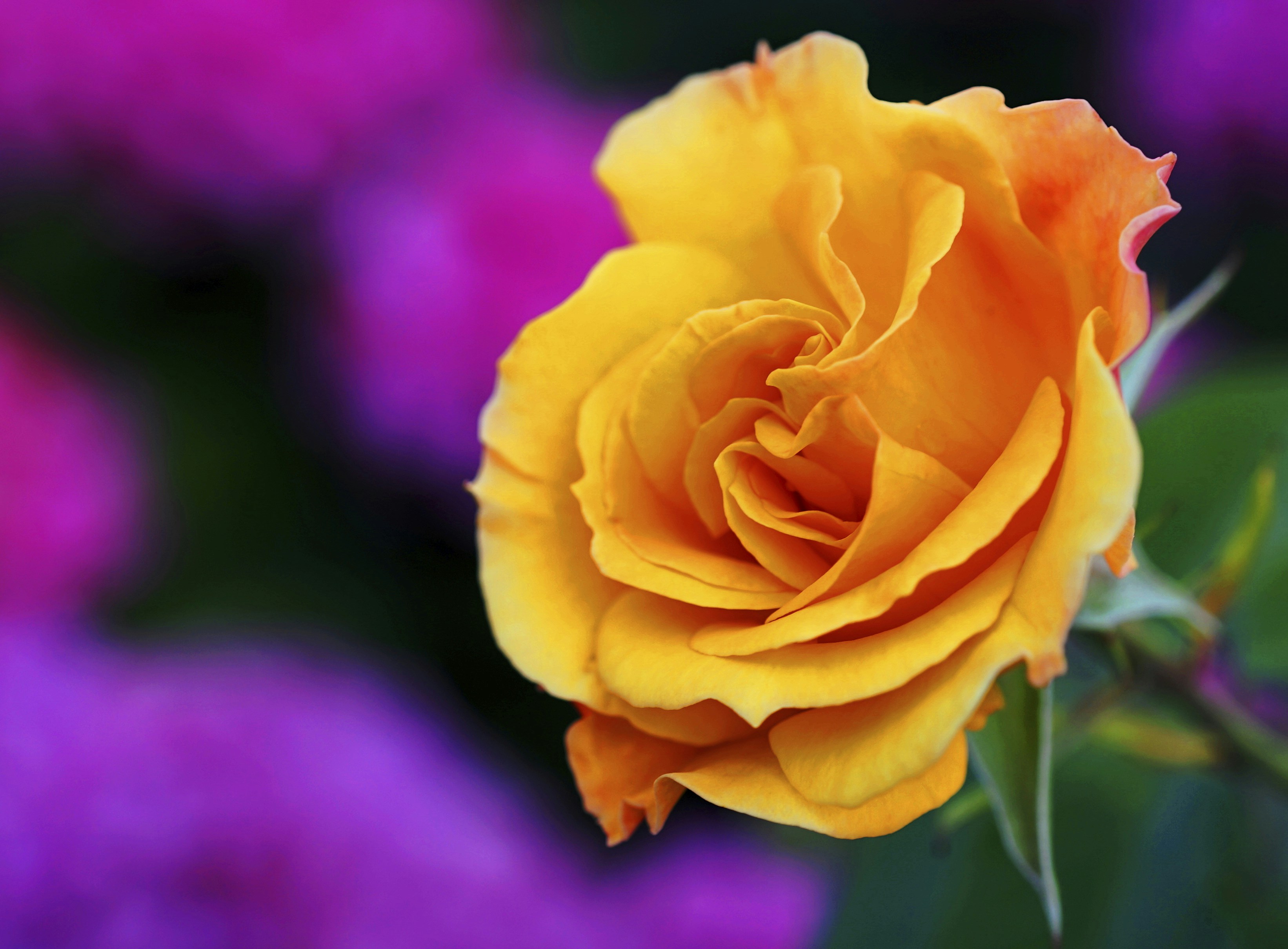 Photo by alpinstephane