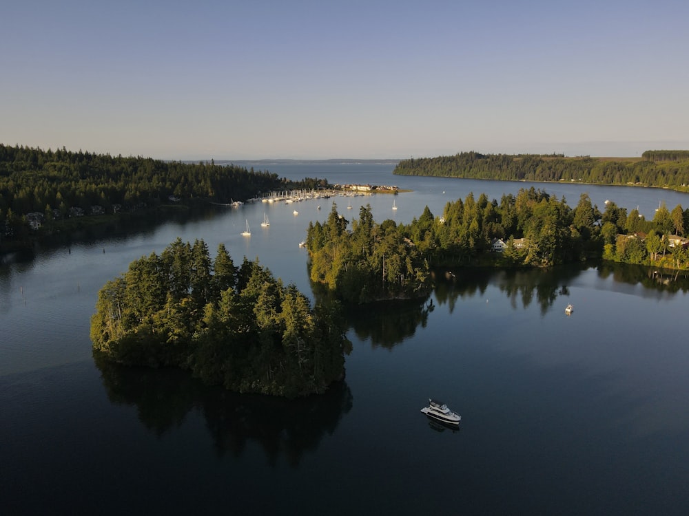 white boat on lake surrounded by green trees during daytime