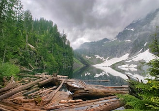 green trees on mountain under white clouds during daytime