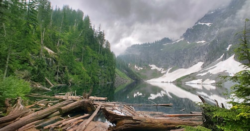 green trees on mountain under white clouds during daytime