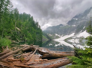 green trees on mountain under white clouds during daytime
