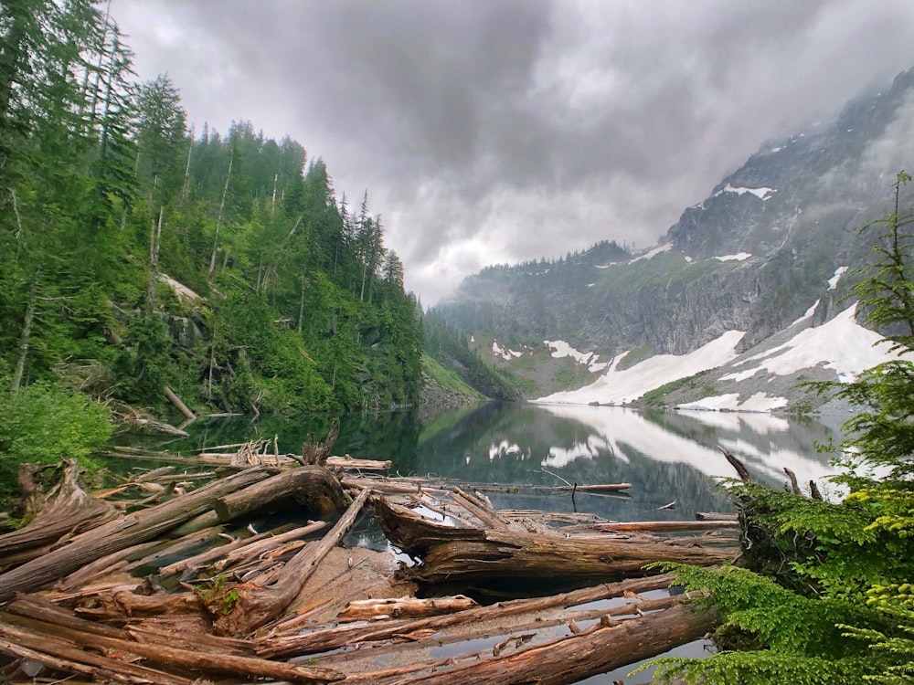 green trees on mountain under white clouds during daytime