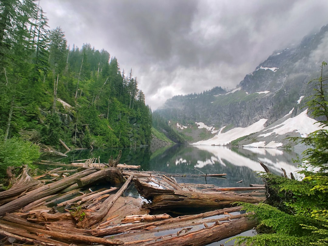 Nature reserve photo spot The Mount Baker-Snoqualmie National Forest Mount Baker