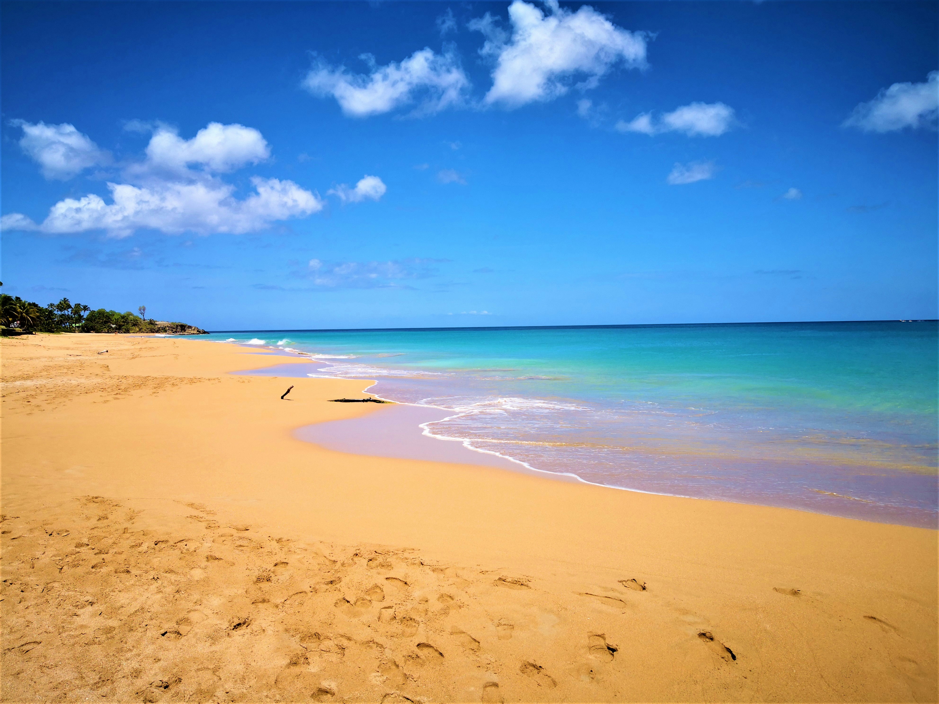 beach shore under blue sky during daytime