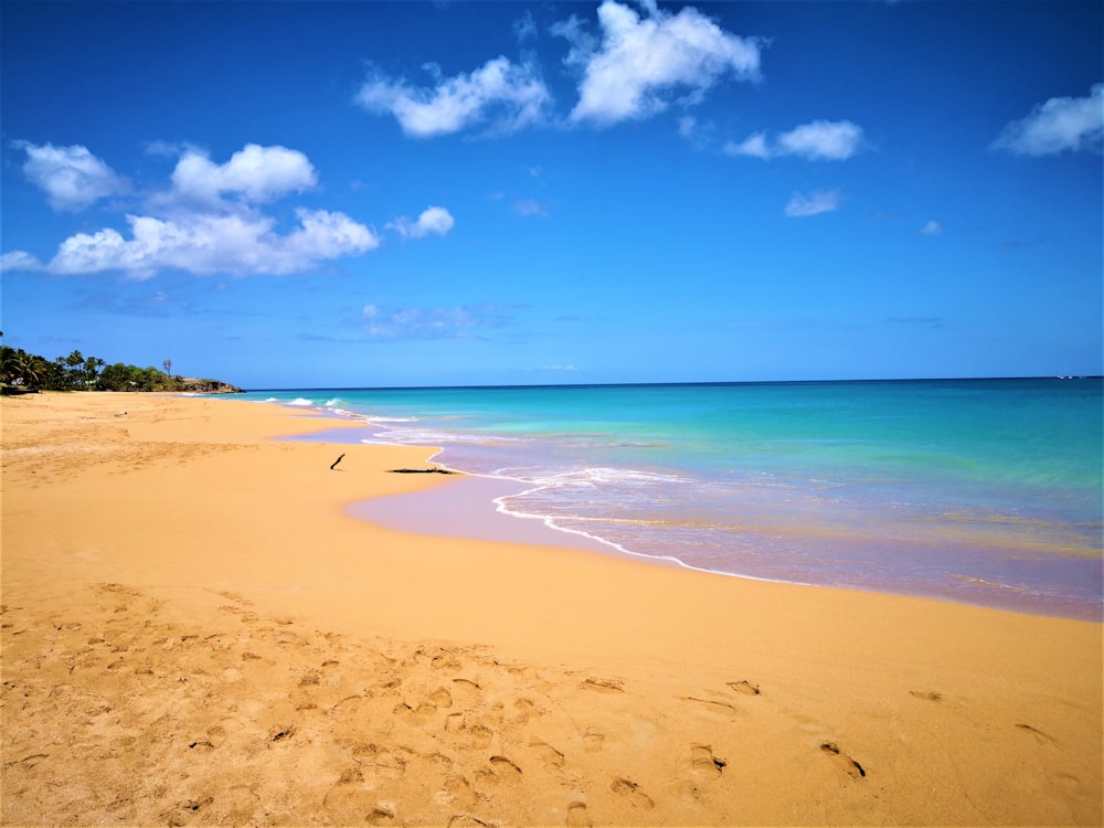 Foto de orilla de la playa bajo el cielo azul durante el día – Imagen  gratuita Mar en Unsplash