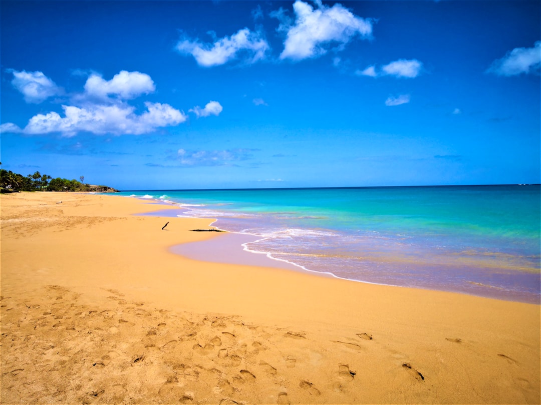 beach shore under blue sky during daytime