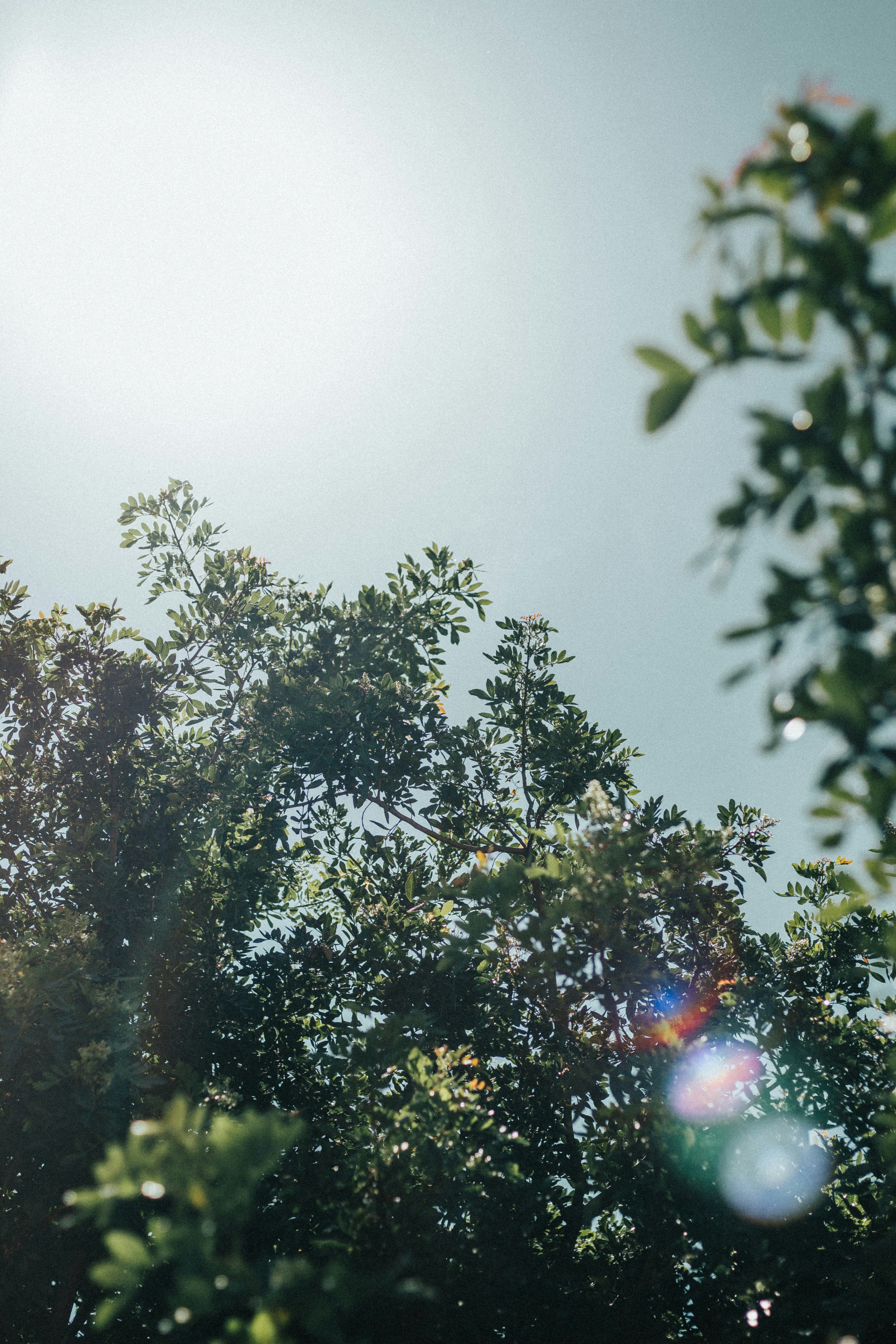 Photo by joaomansano