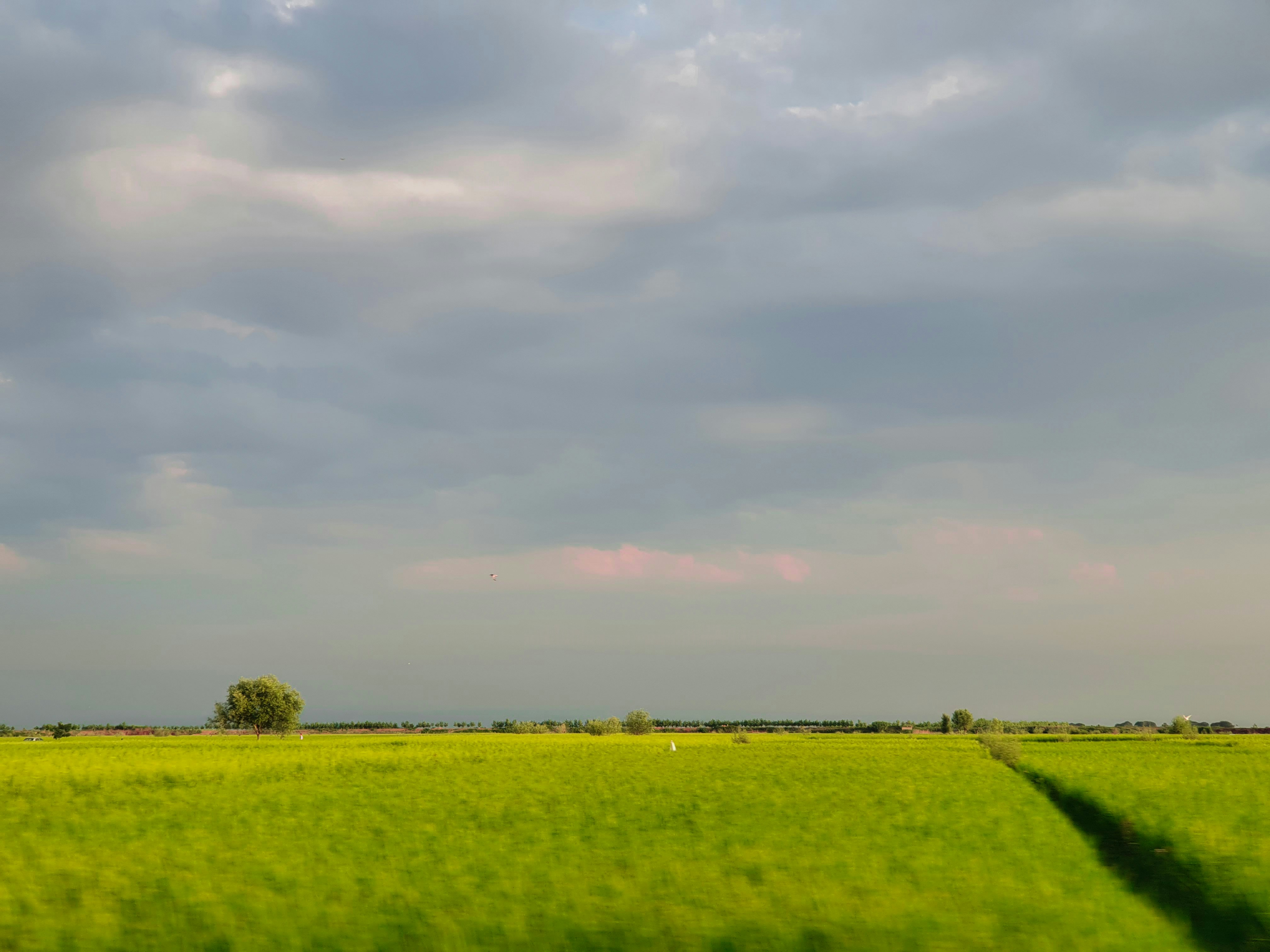 Photo by yasamannasr