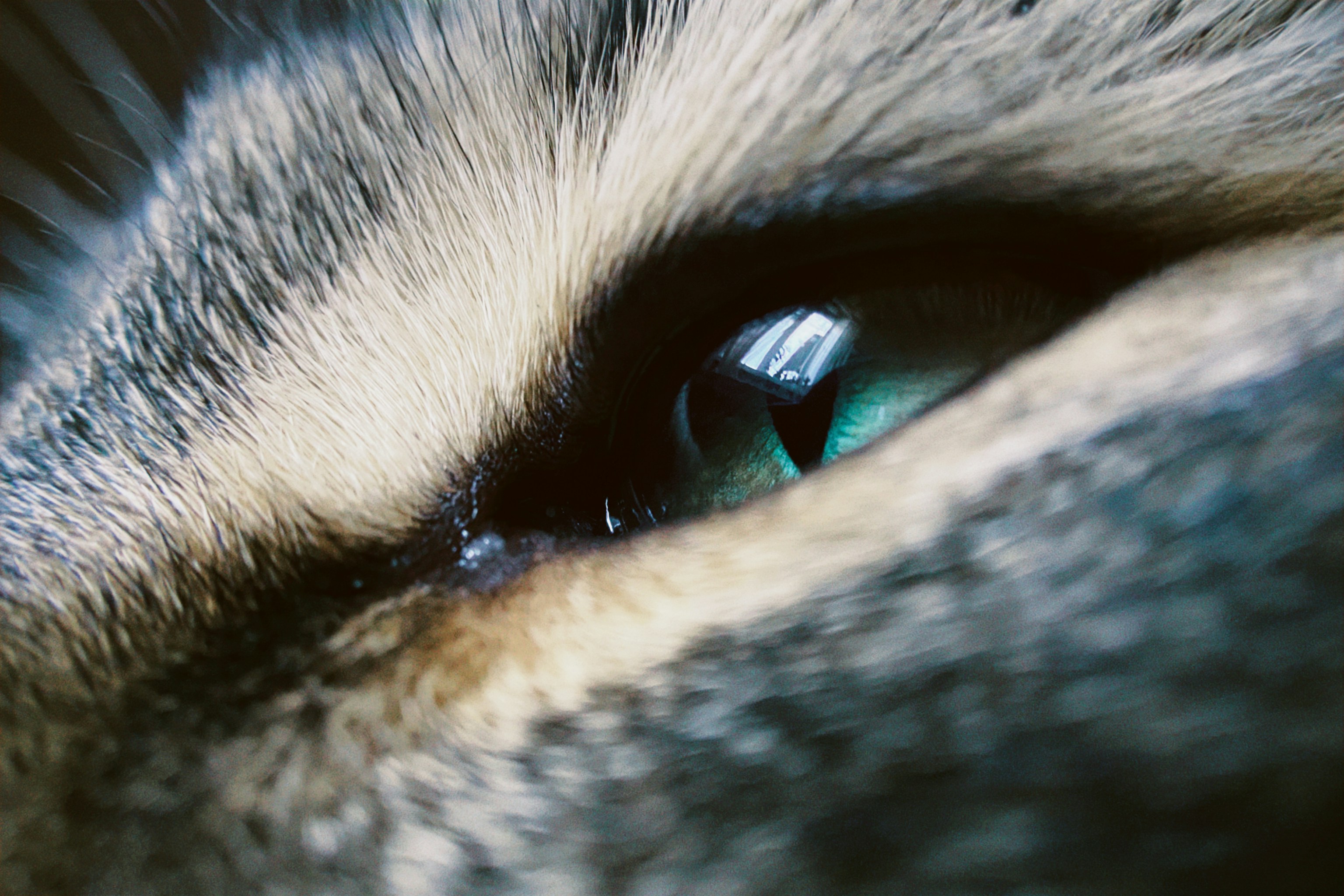 Photo by alexandrabutenko