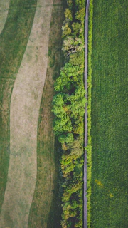 green grass field during daytime
