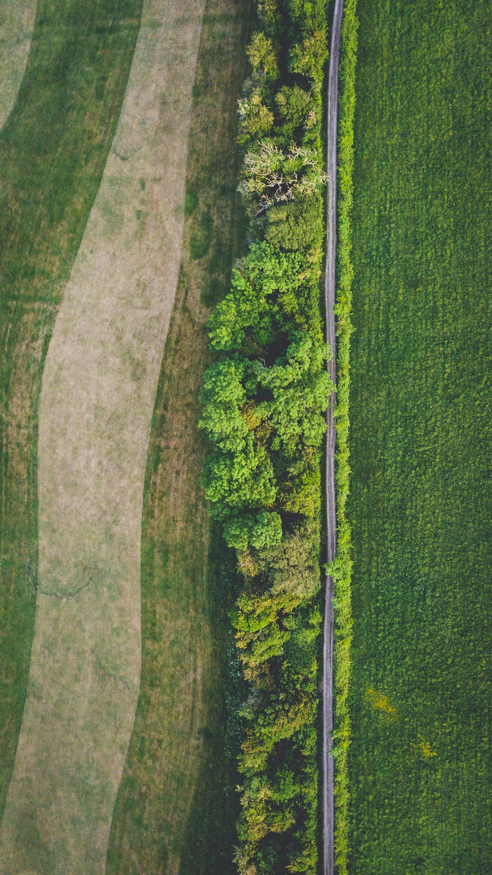 green grass field during daytime