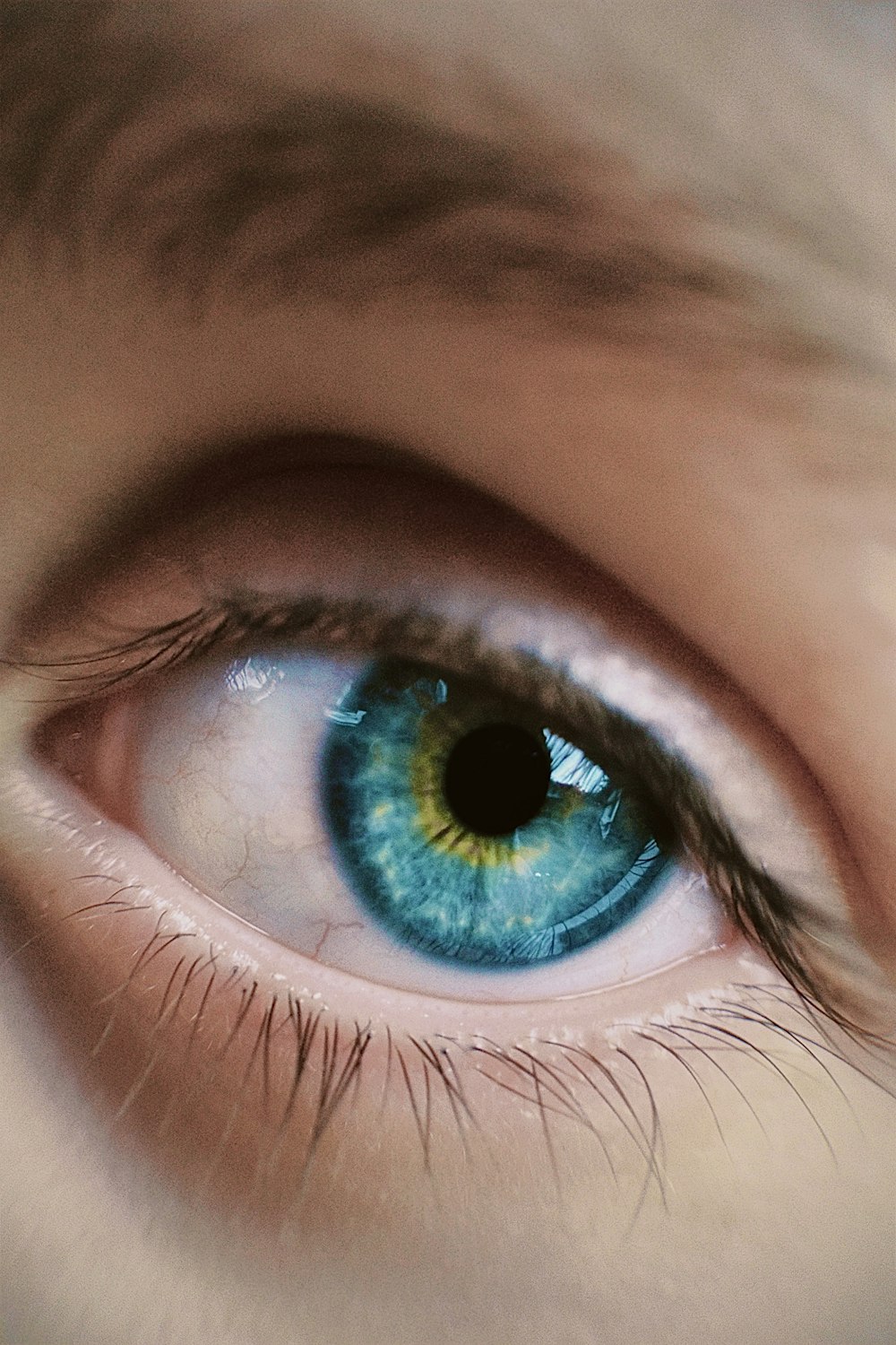 persons blue eyes in close up photography