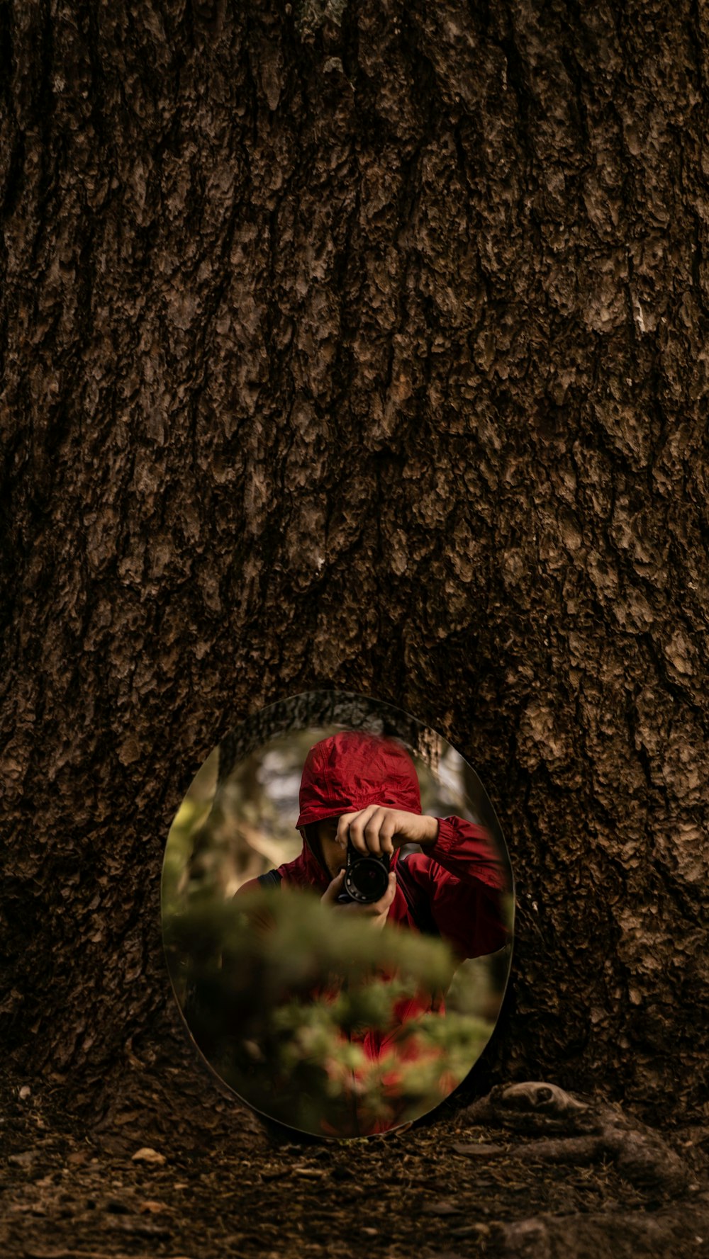 person in red jacket and red knit cap sitting on tree