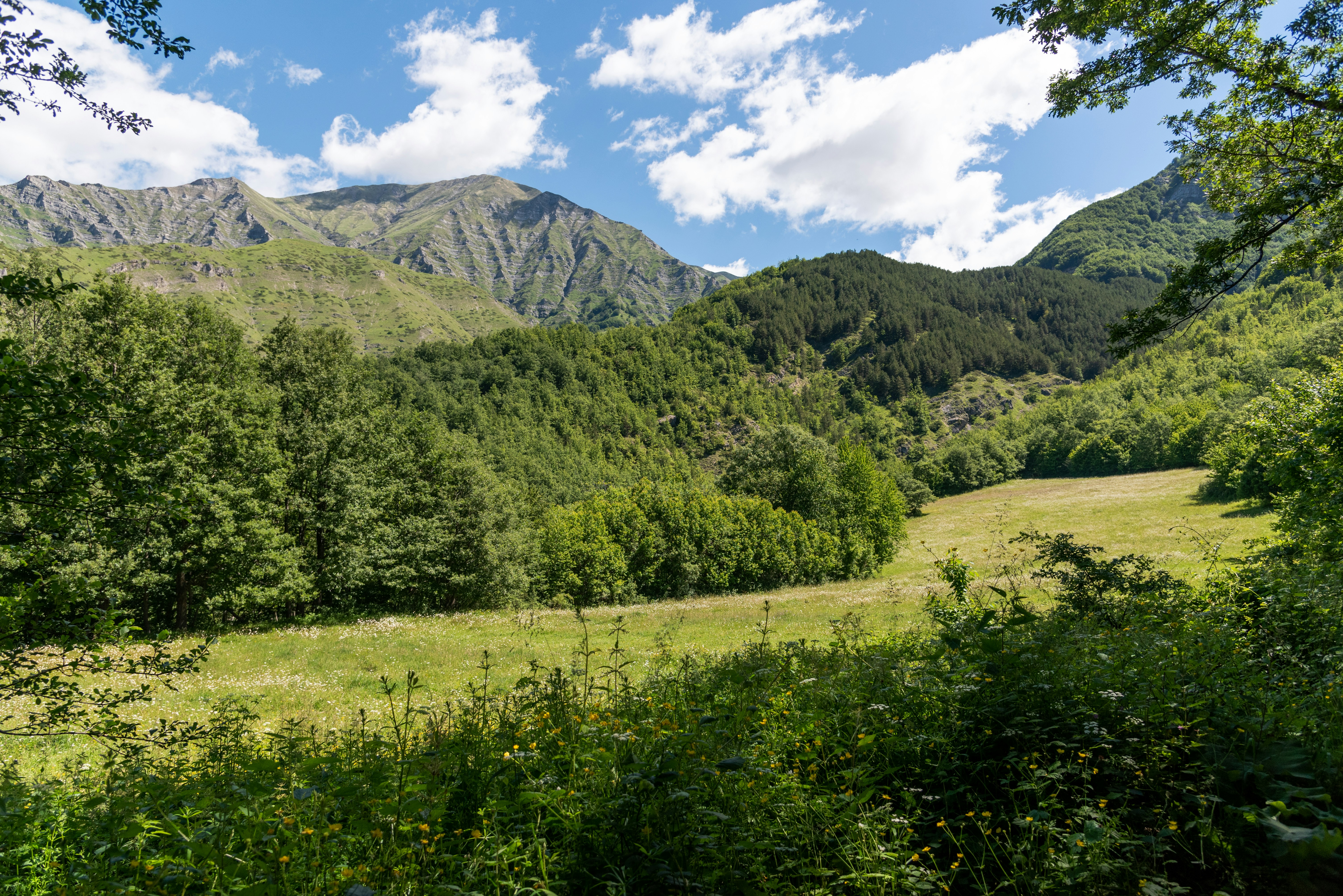 Photo by serenarepice