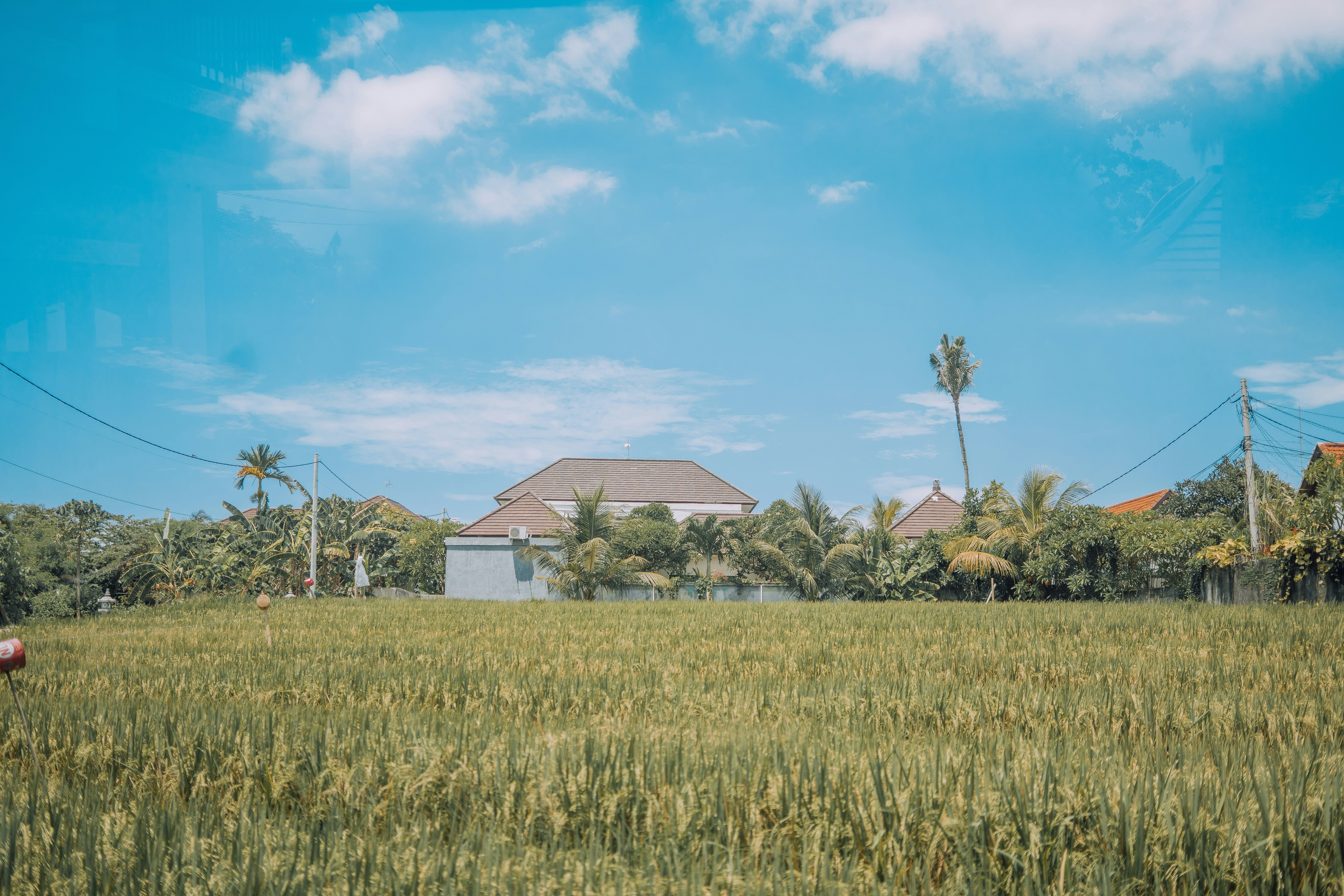 Photo by eugeniaclara