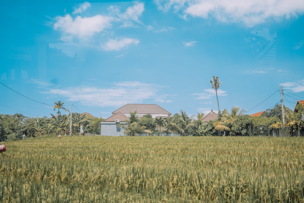 Weißes und braunes Haus in der Nähe von grünem Grasfeld unter blauem Himmel während des Tages