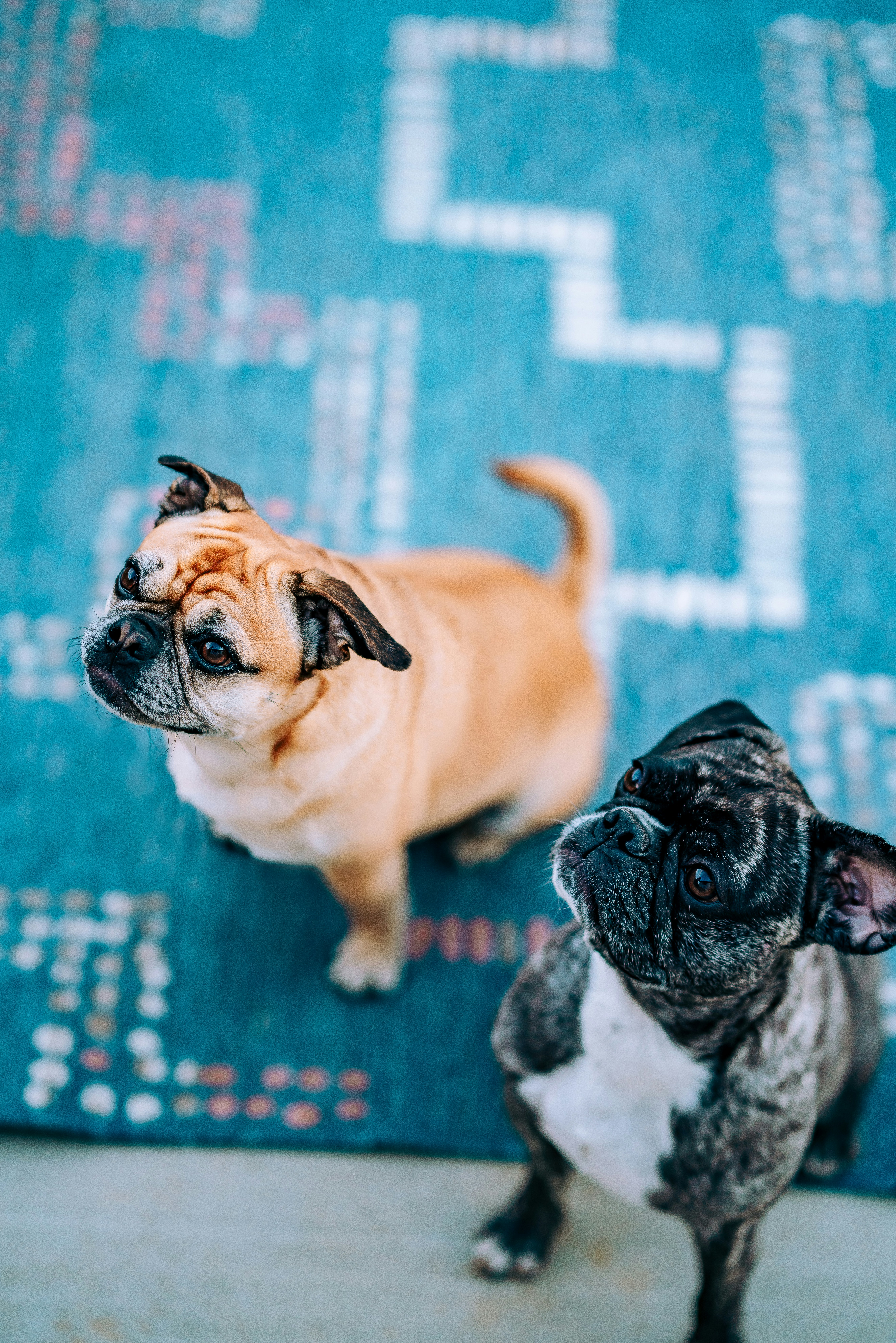 Photo by merittthomas