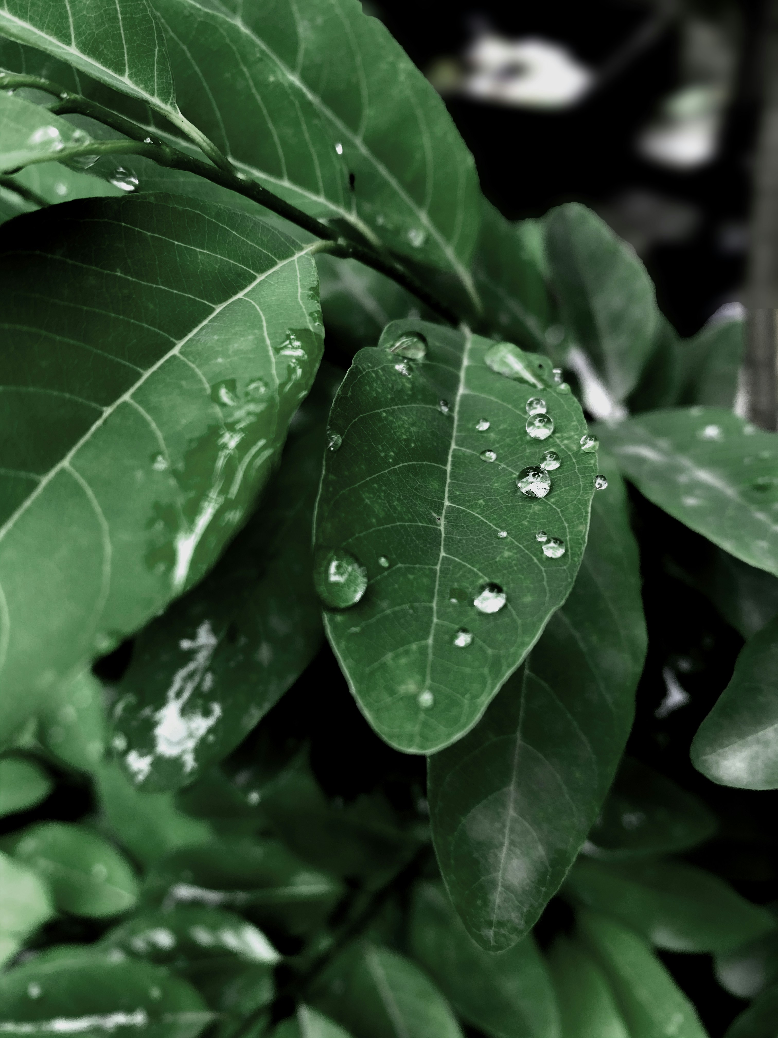 Photo by natureuniverse