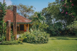 brown and white house surrounded by green grass and trees during daytime