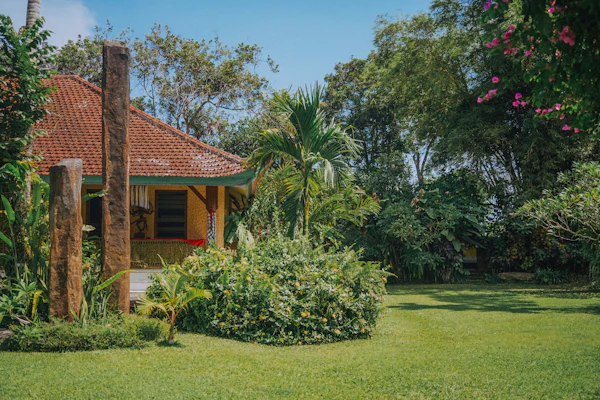 House surrounded by green grass and trees