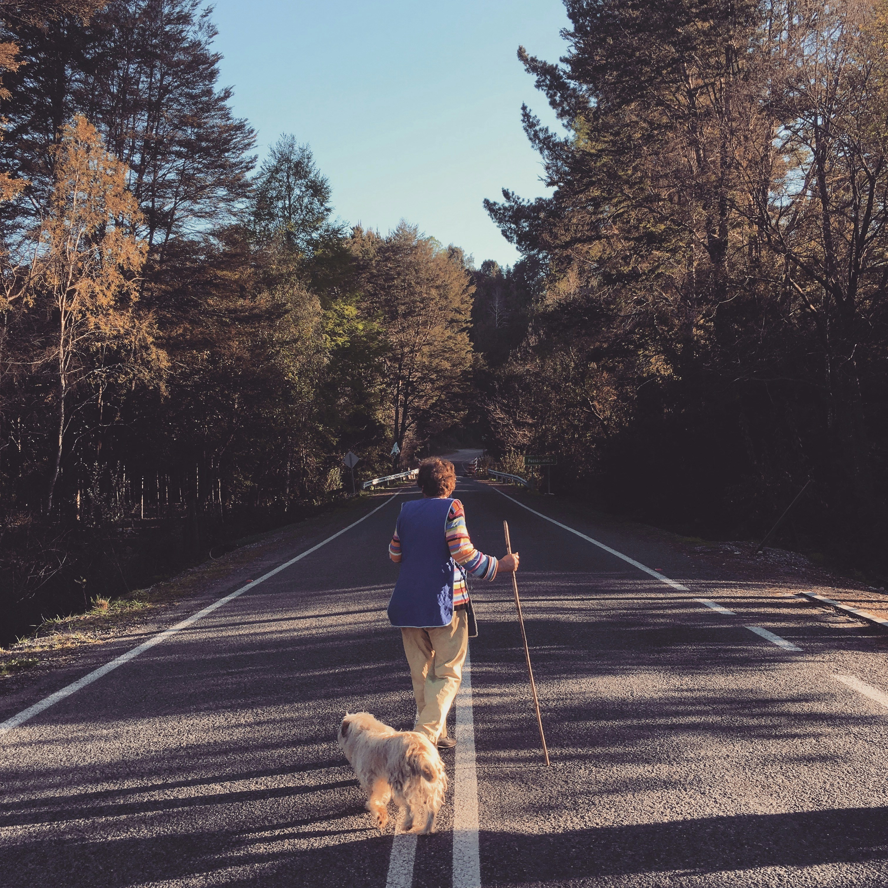 man in black jacket and brown pants walking with brown dog on road during daytime