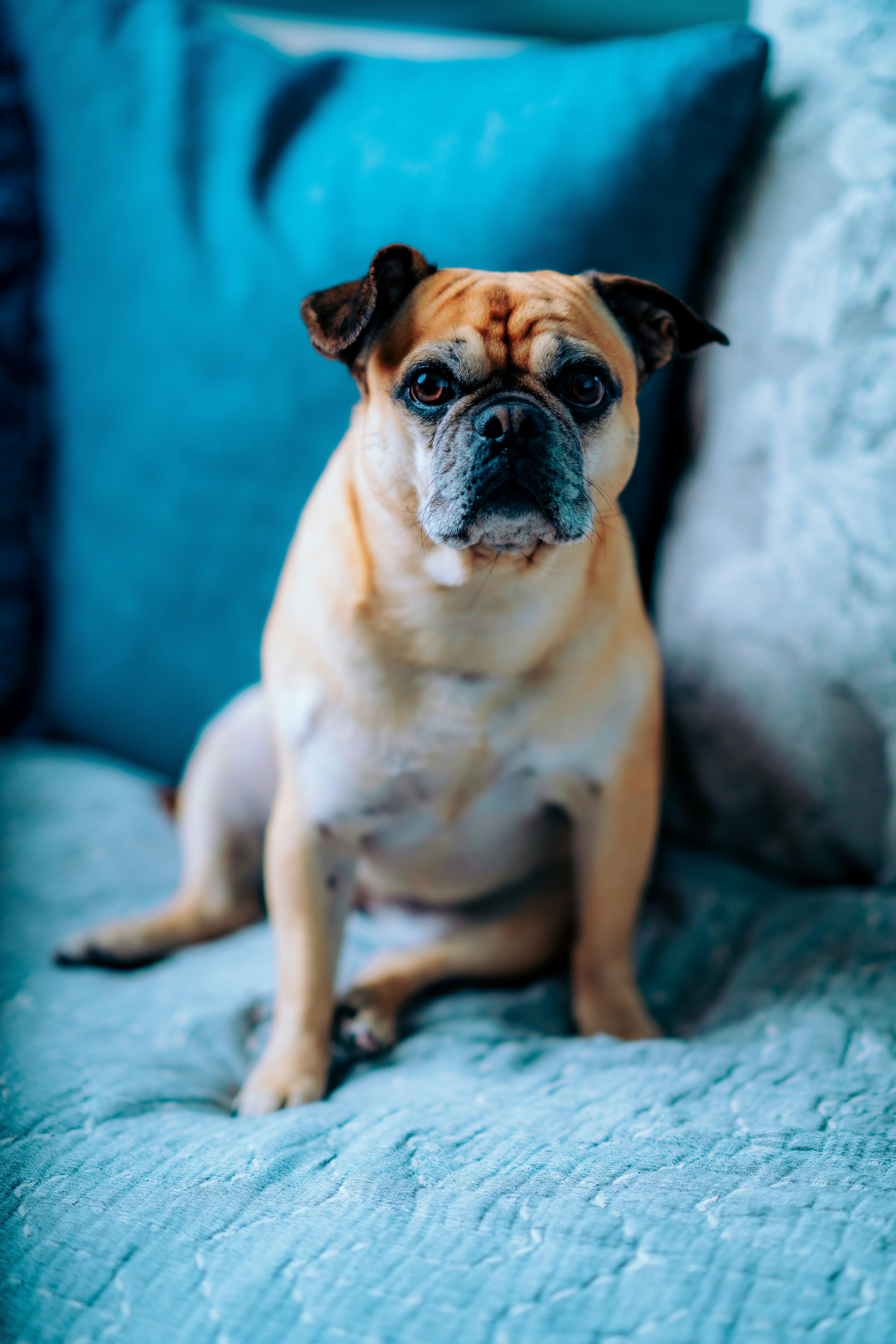 Photo by merittthomas