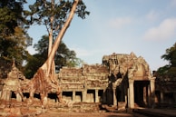 Ancient stone ruins of a temple with a large tree growing over the structure. The architecture features intricate carvings, arched doorways, and weathered stone walls. The surroundings include lush green trees under a bright sky.