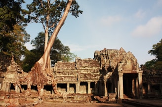 Ancient stone ruins of a temple with a large tree growing over the structure. The architecture features intricate carvings, arched doorways, and weathered stone walls. The surroundings include lush green trees under a bright sky.